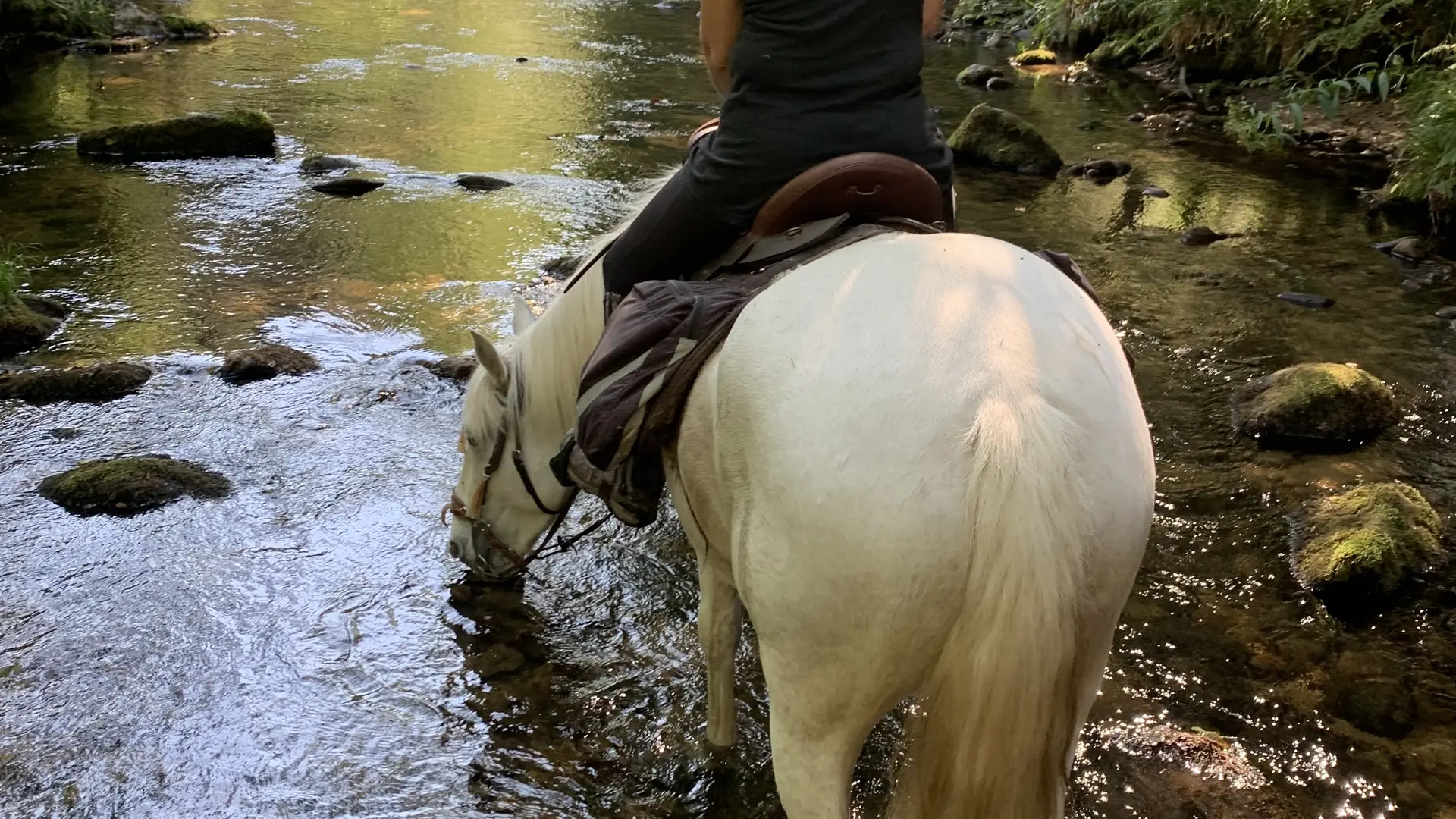 Balade à cheval