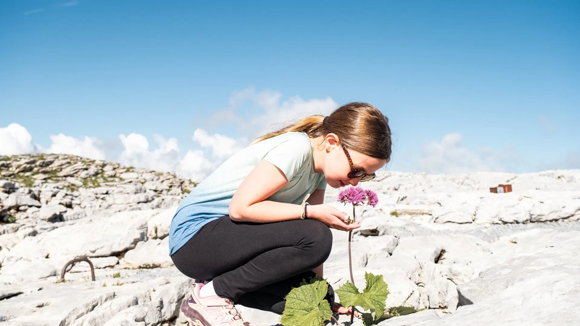 Meisje dat aan een bloem ruikt