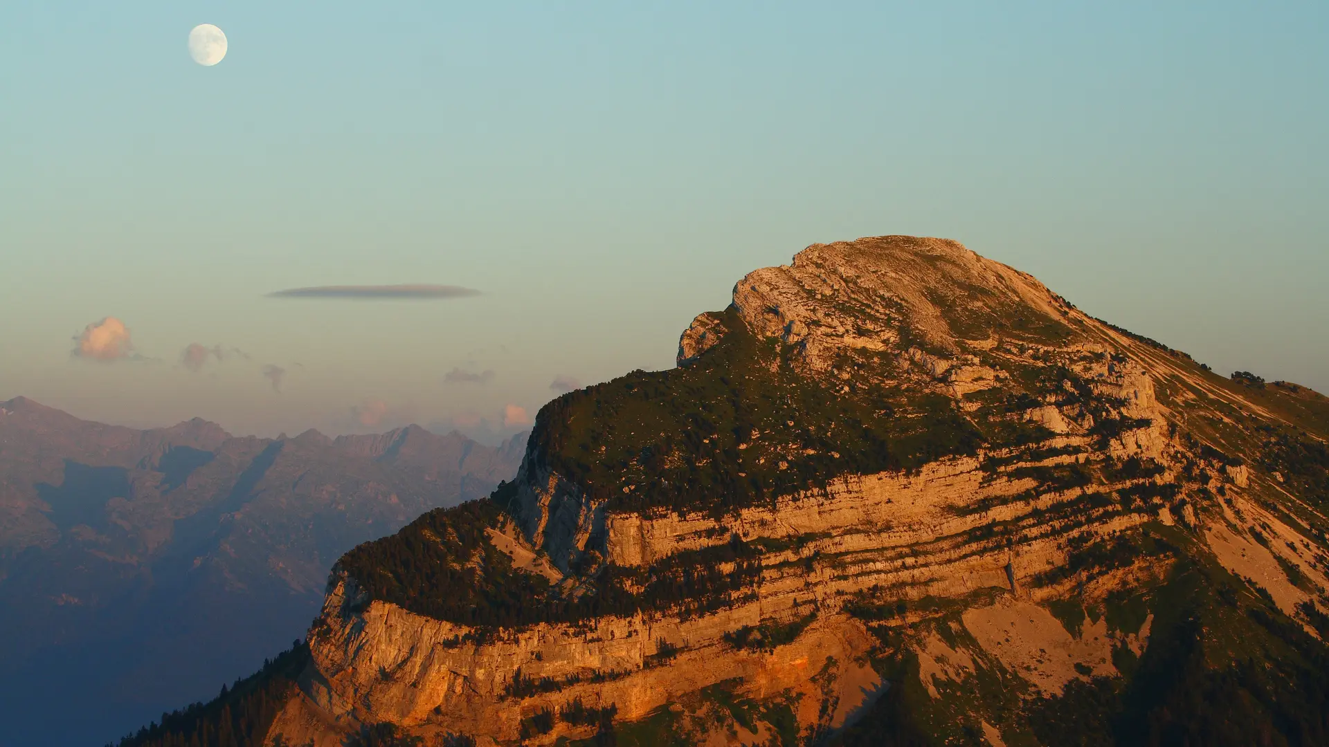 CHAMECHAUDE