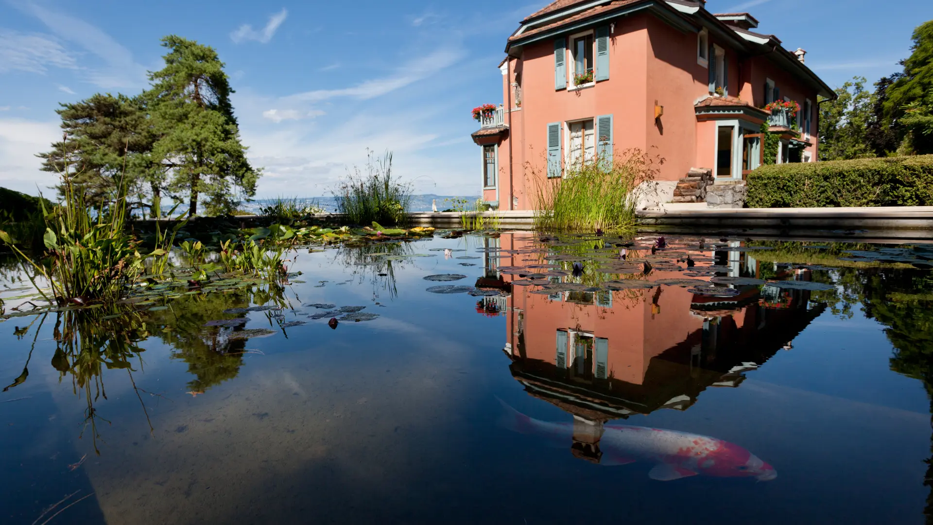 photo-prestataire