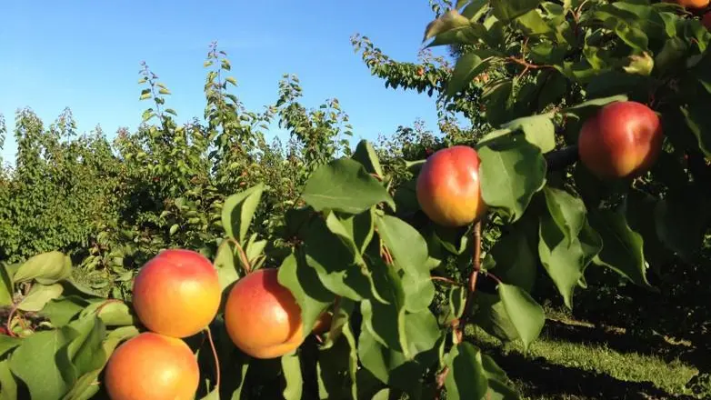 Les Jardins de Gaïa