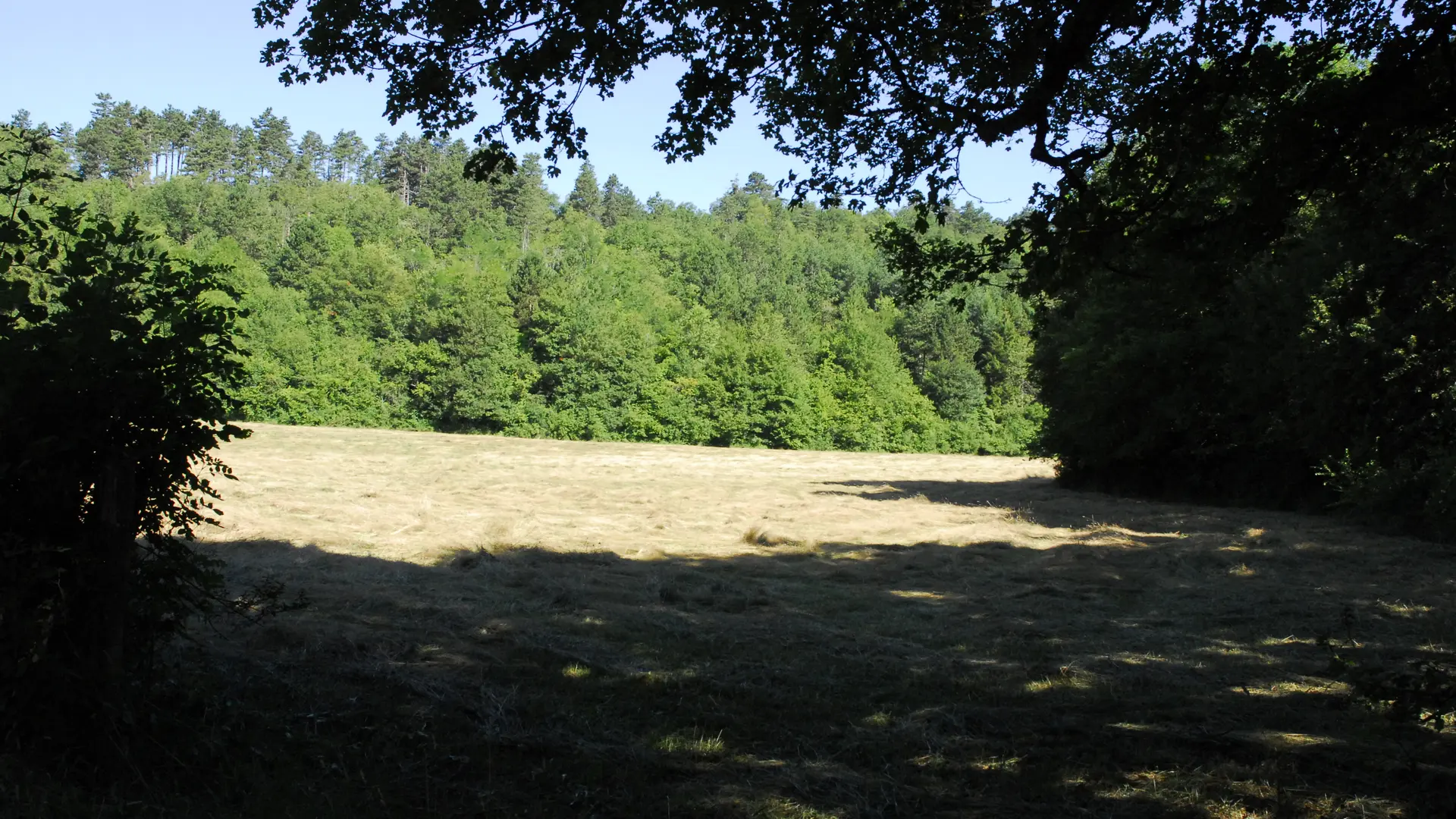 Randonnée Les Conches