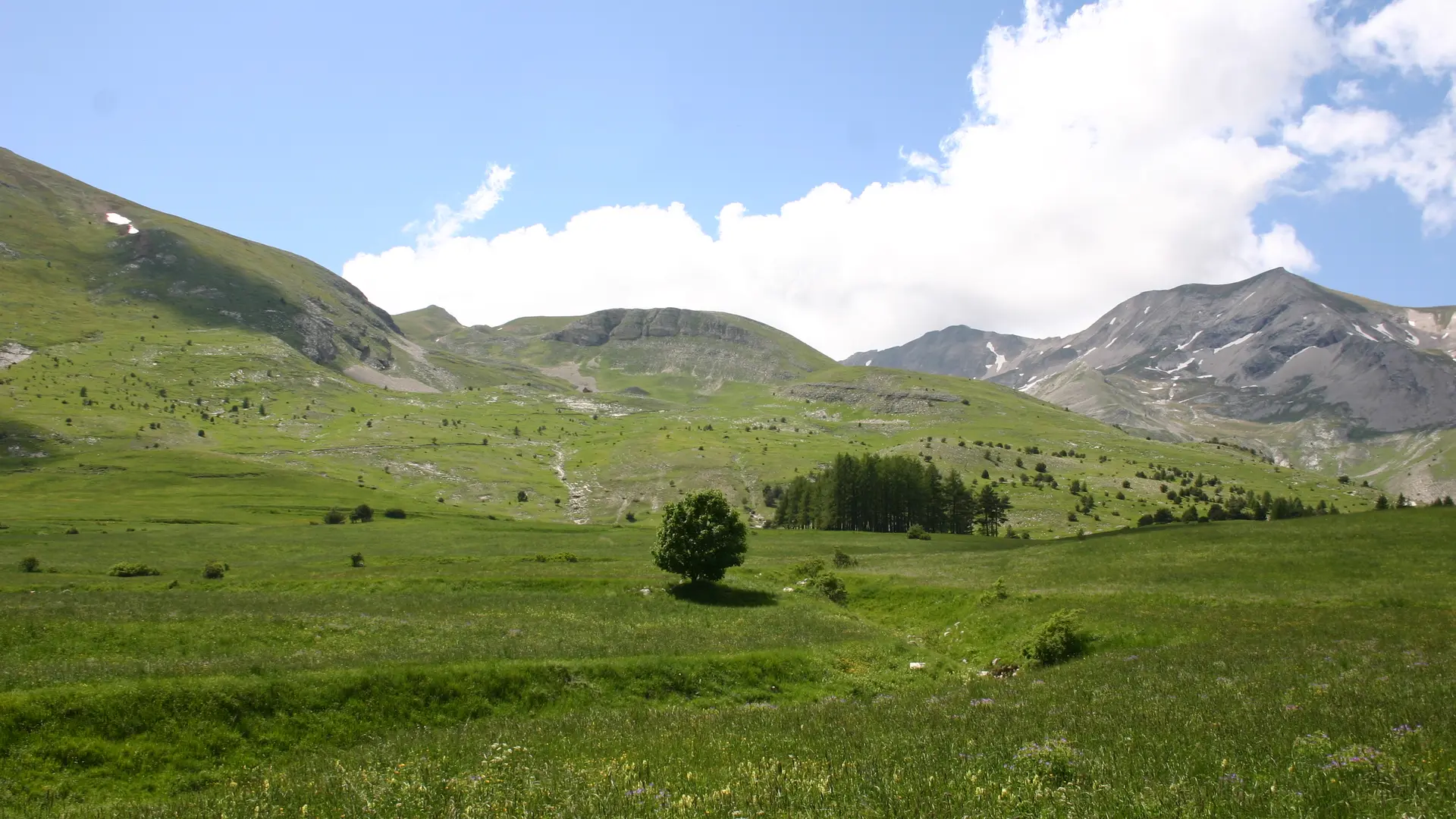 Le Col du Festre sur le circuit n°14 Malmort, Dévoluy, Hautes-Alpes