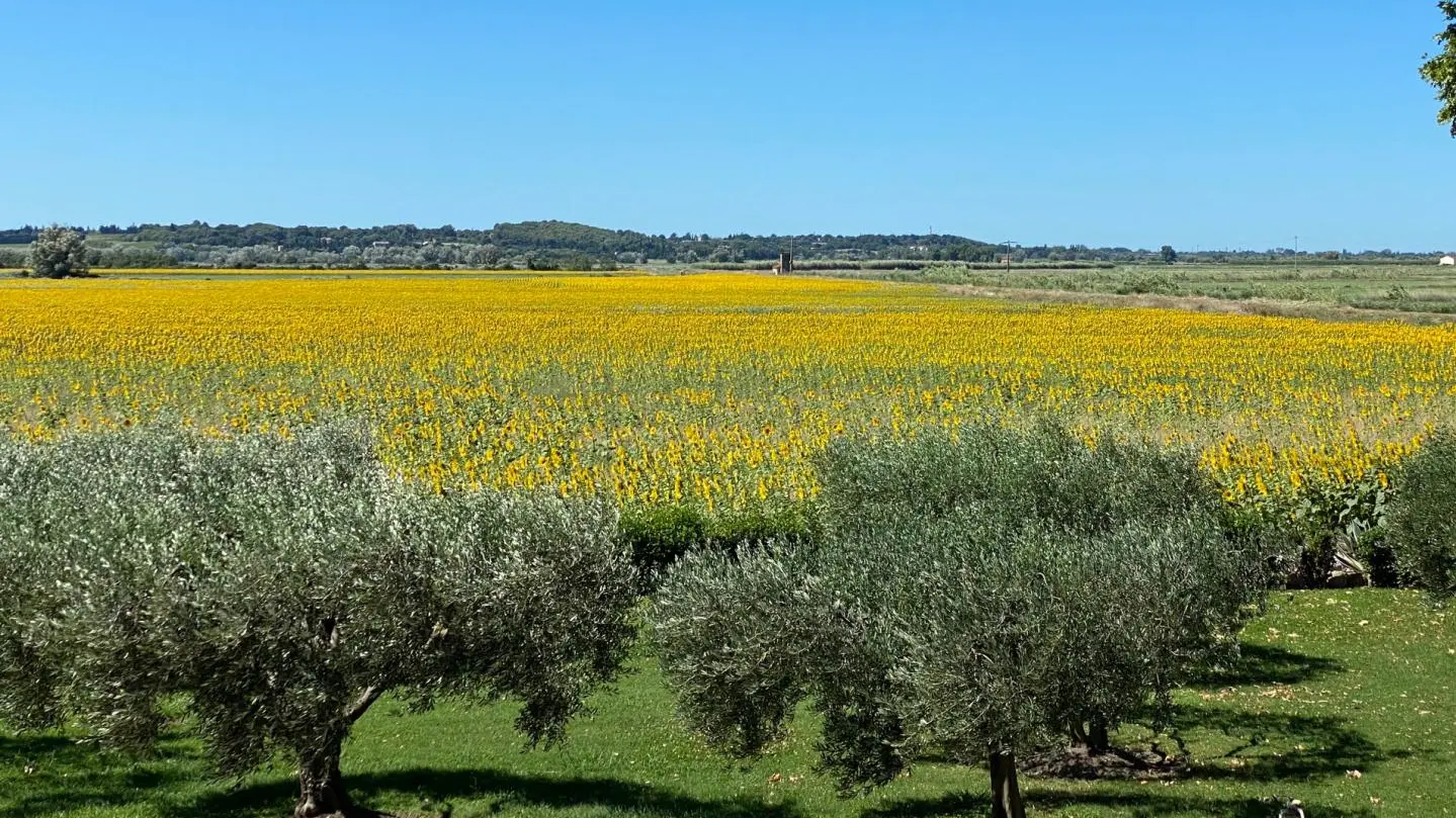 Vue exterieur selon la culture;