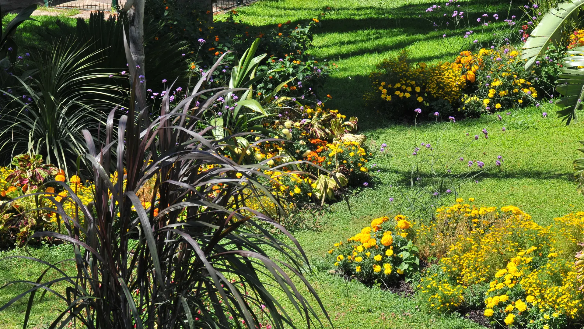 Parc du Cigalou