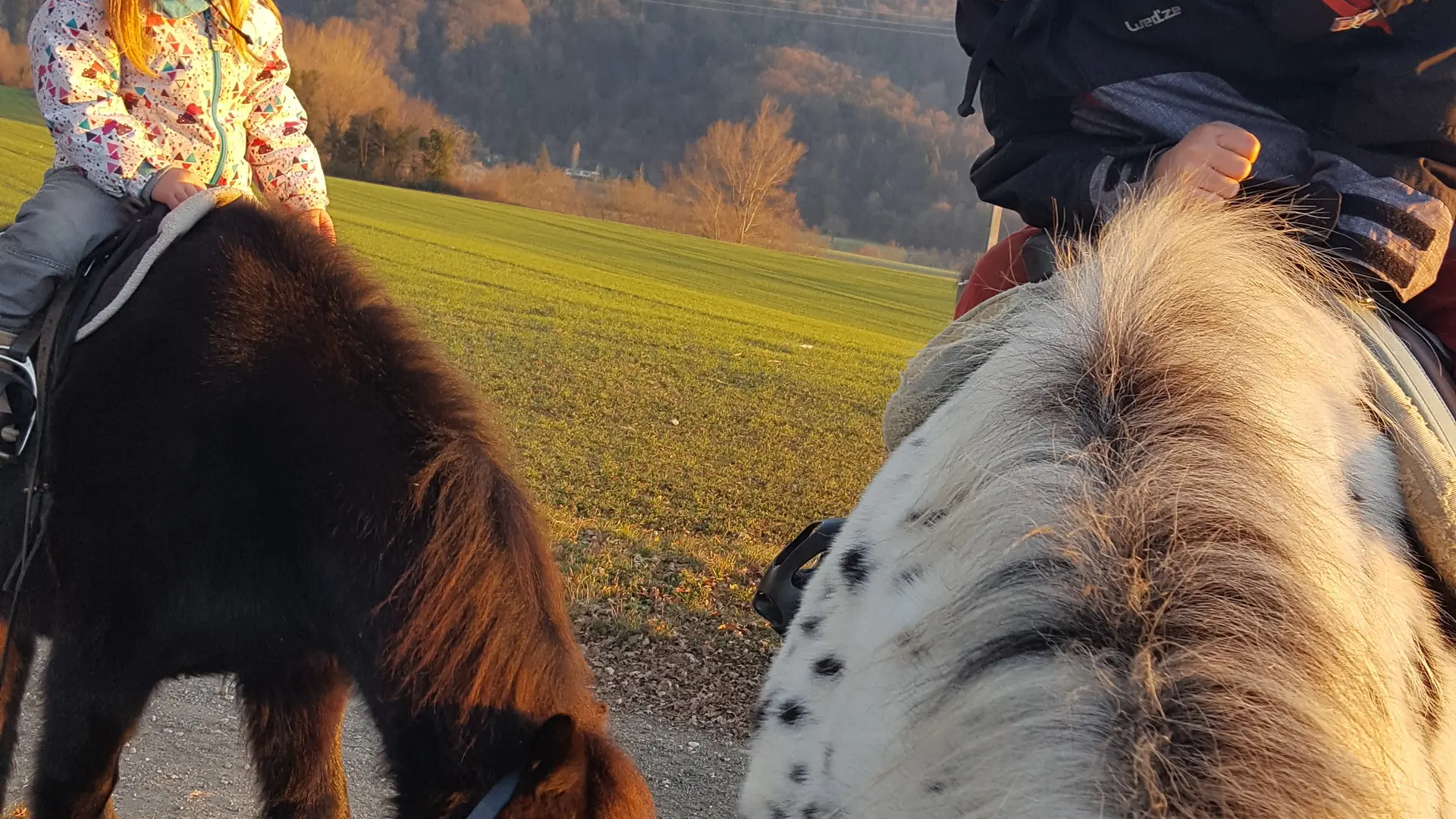 Equitation aux Écuries de Crossey