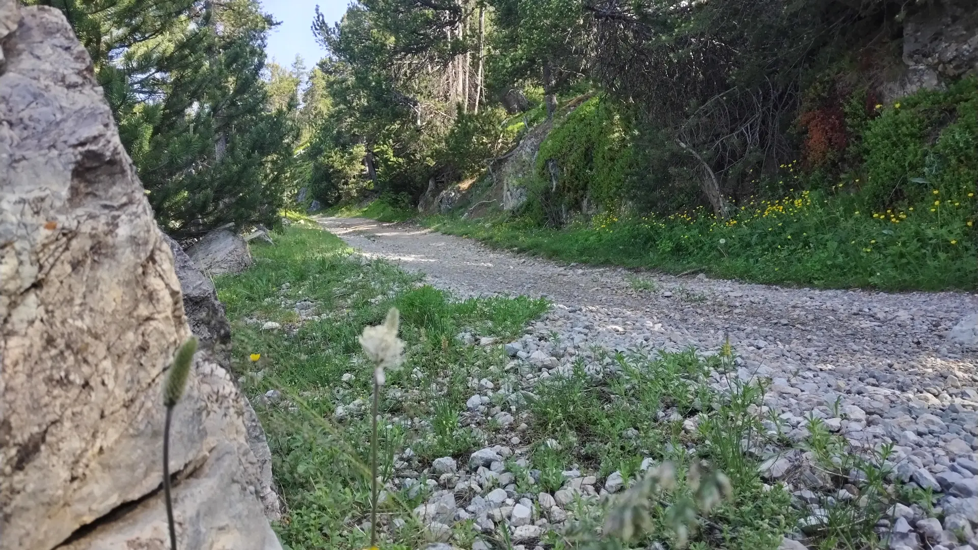 Piste caillouteuse après le fort