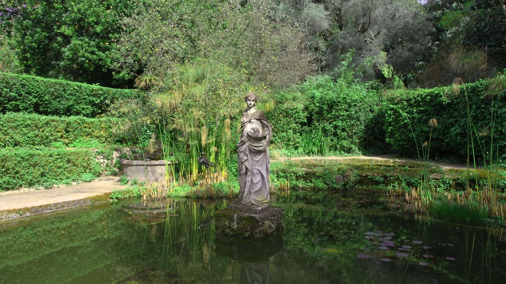 Jardin Serre de la Madone