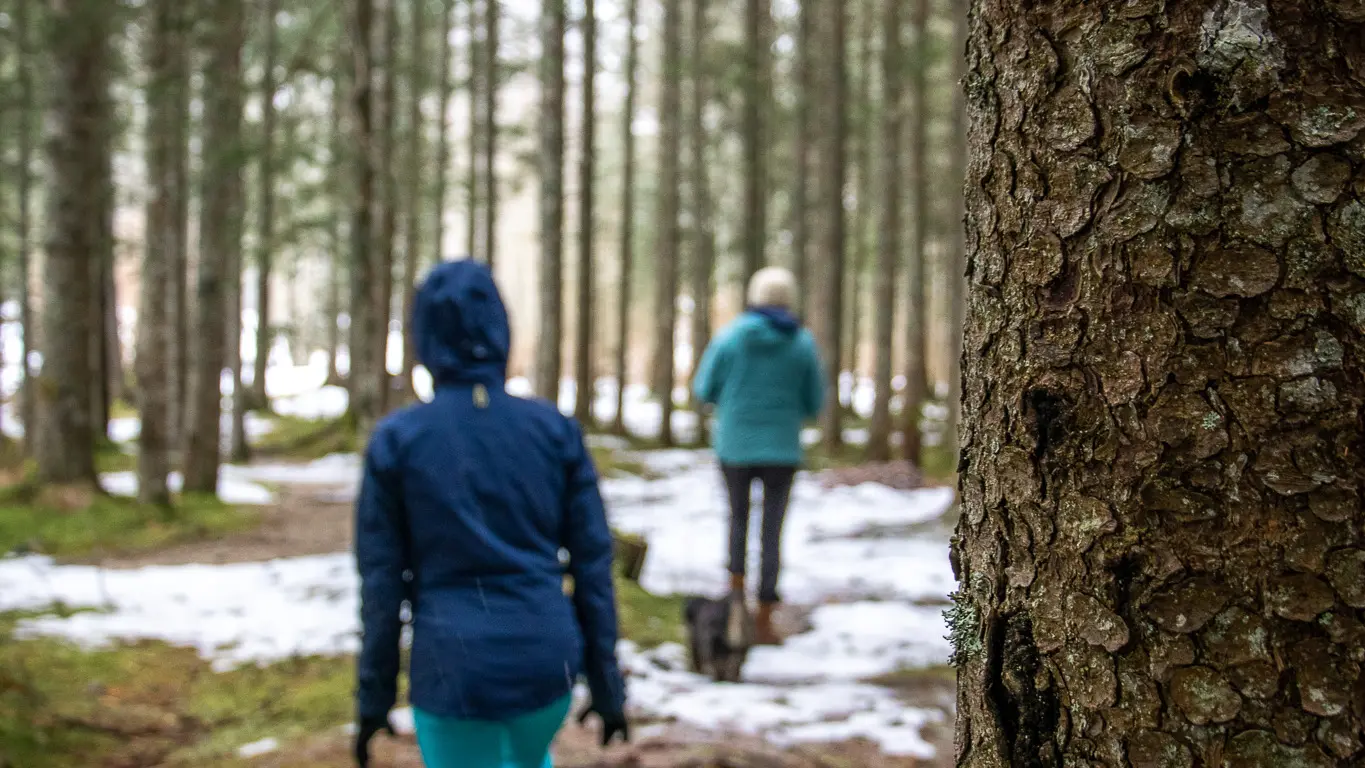 Randonnée sophrologie avec Cécile Demargne
