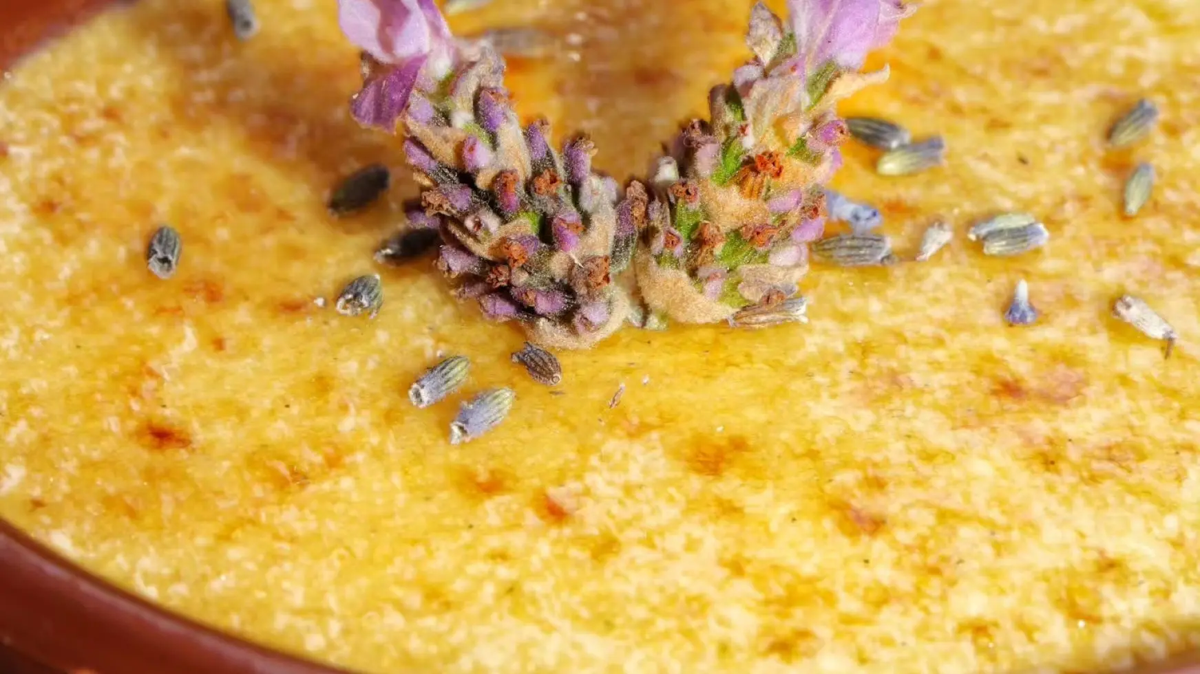 Côté Jardin La Ciotat