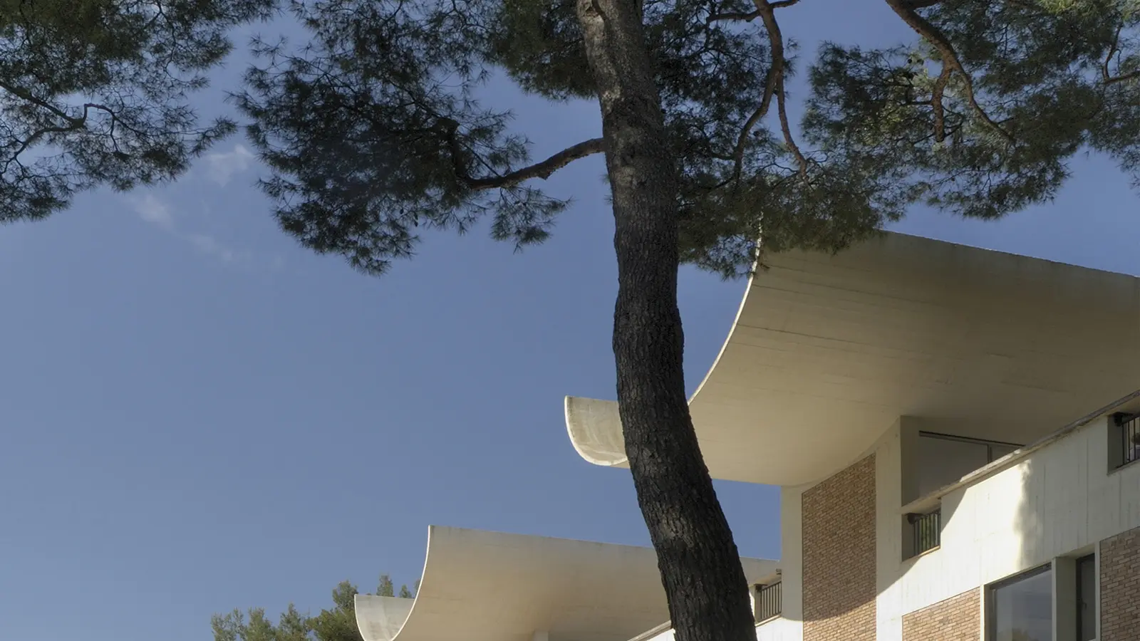 Fondation Maeght