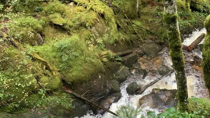 Le ruisseau Le NOYER à 10 mn à pied