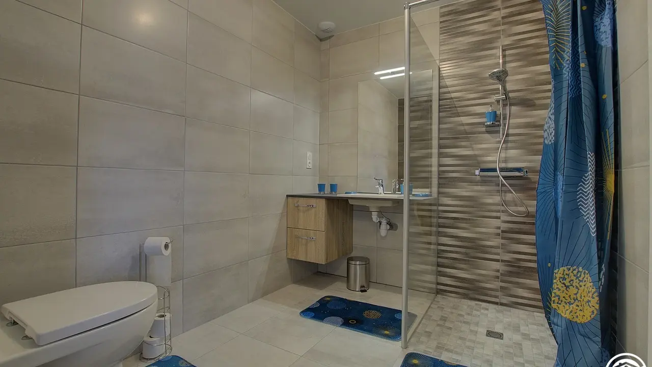 salle d'eau privative à la chambre située au RDC.