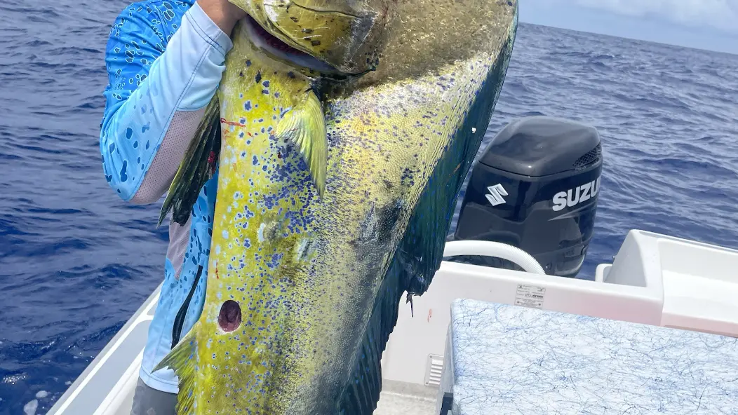 Tahiti Ocean Adventures