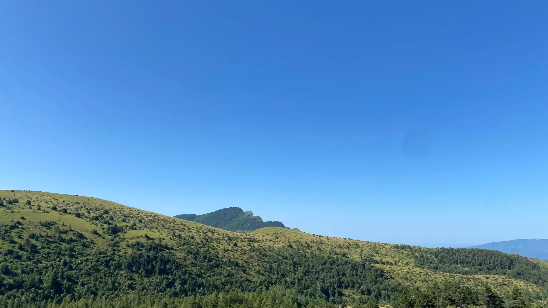 La nature, à perte de vue