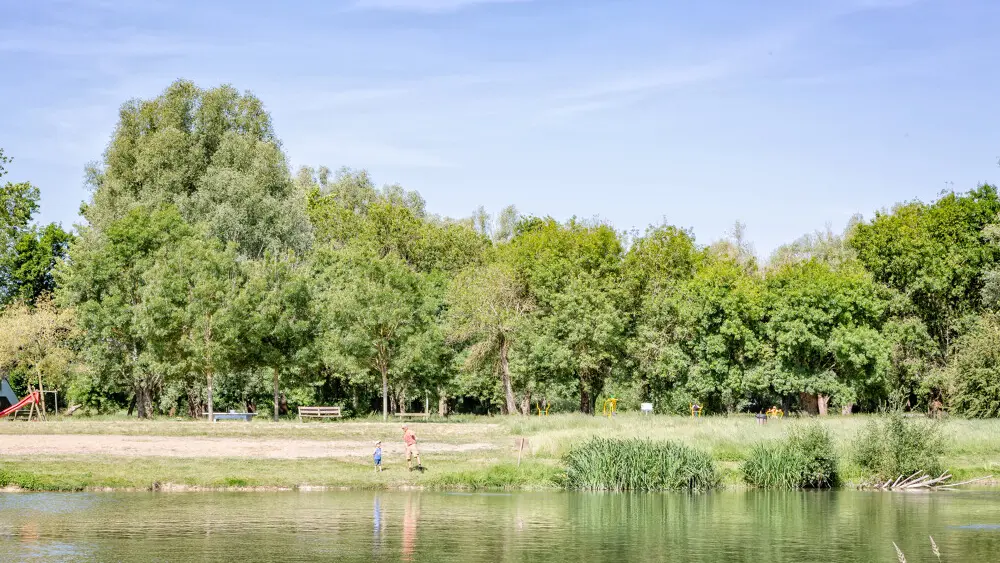 Bord du Loir à Villevêque