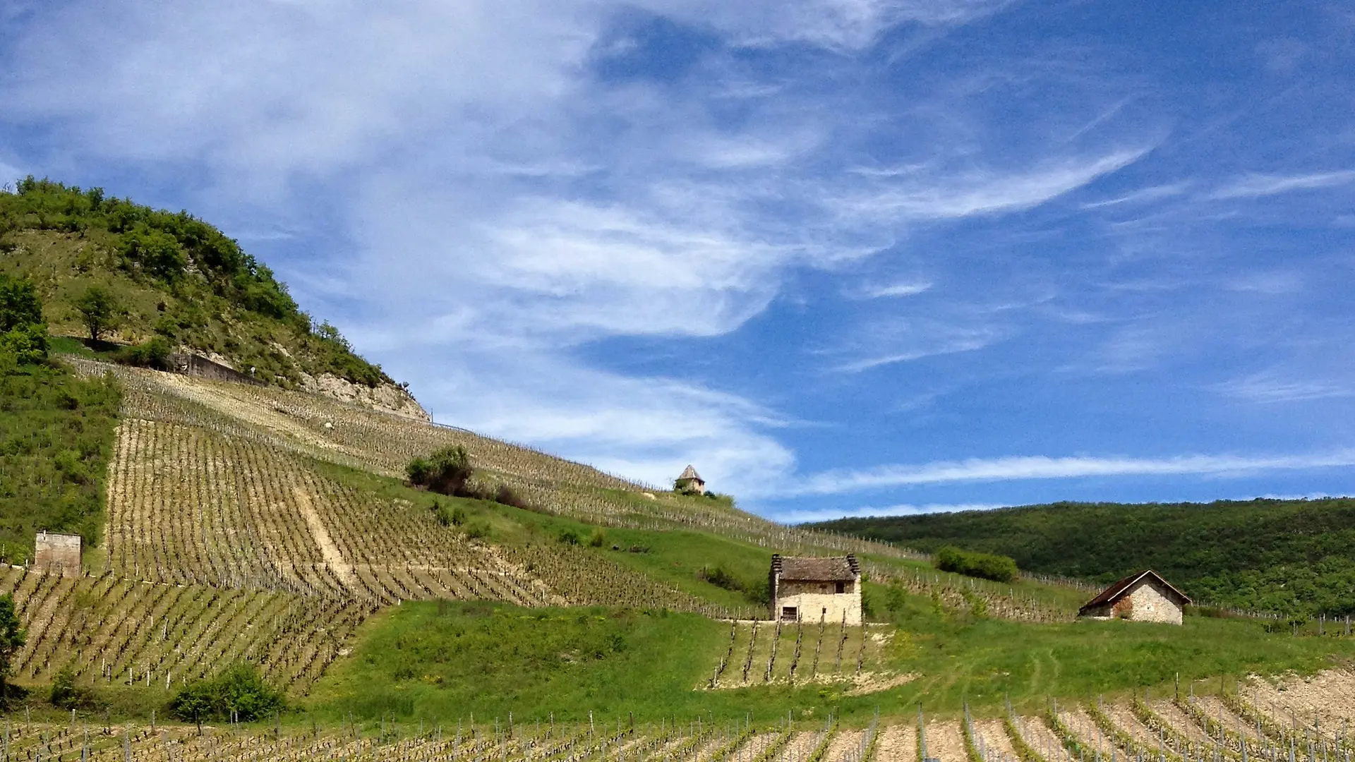 Vignoble du Bugey