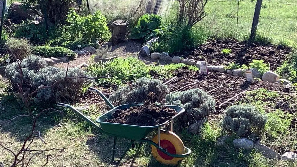 L'herbier sous travaux