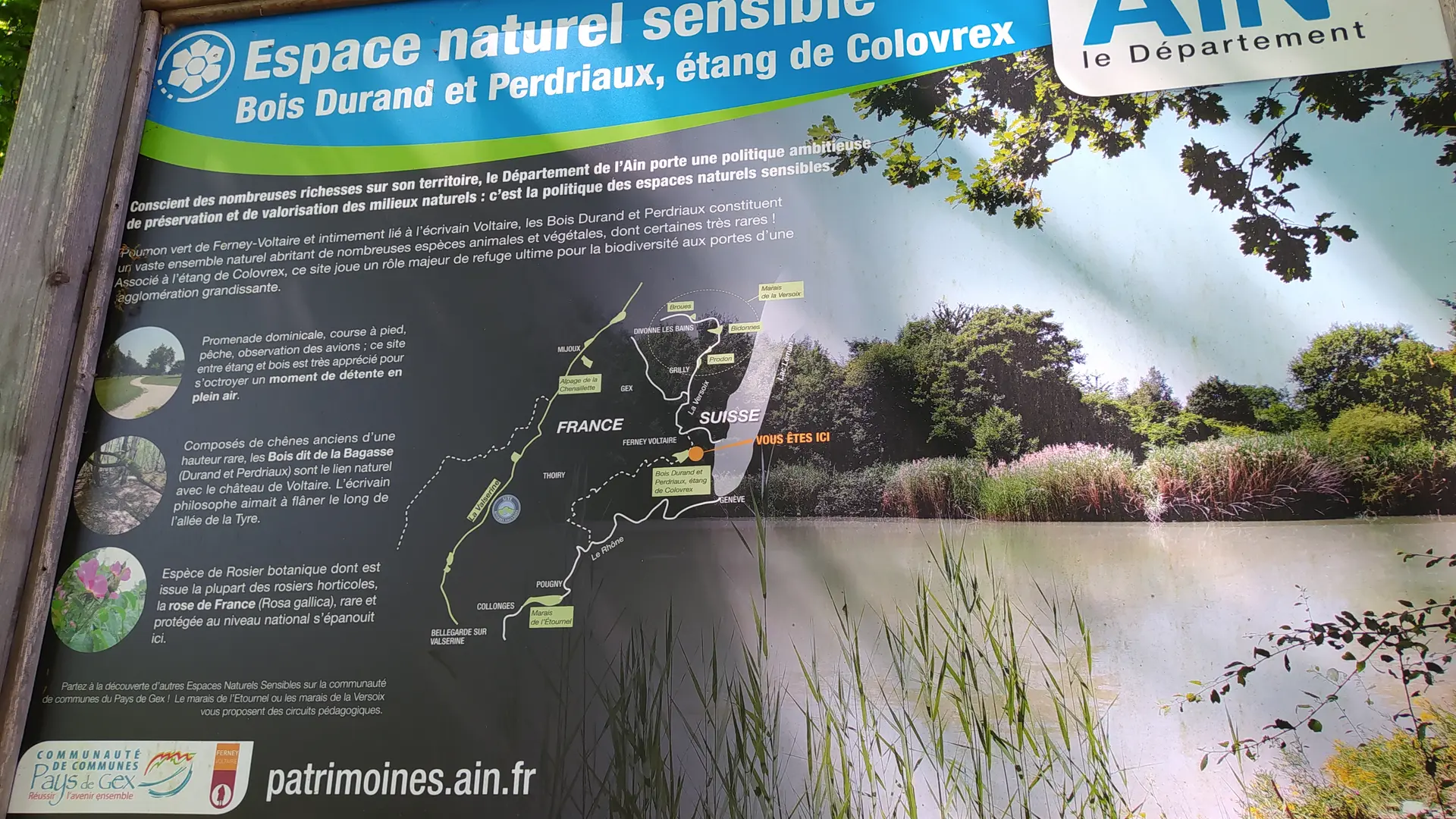 Etang de Colovrex