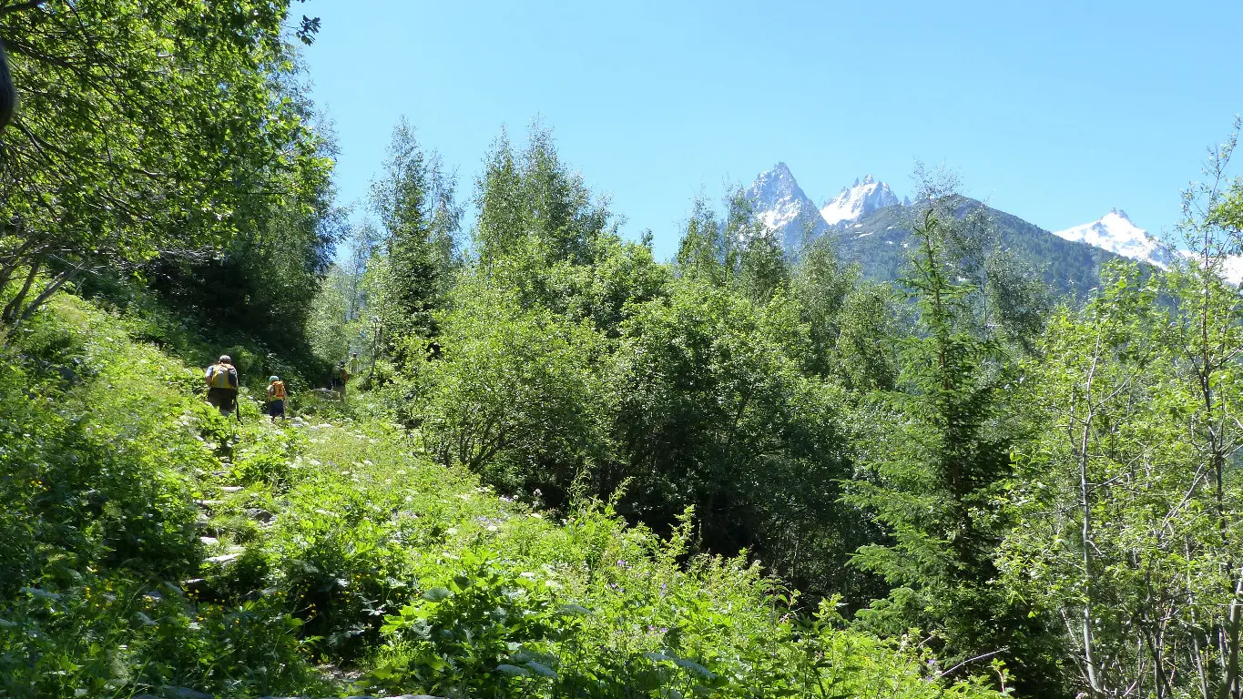 Montée depuis le Lavancher - Photo sous licence Creative Commons https://creativecommons.org/licenses/by-nc-nd/3.0/deed.fr