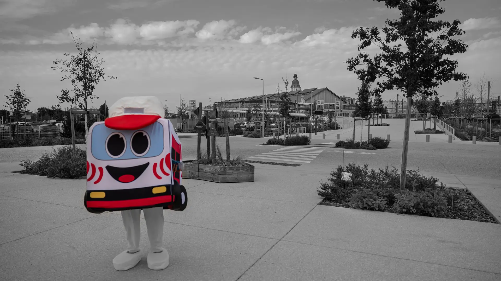 Ligne 150 La Rochelle/Île de Ré - Mascotte