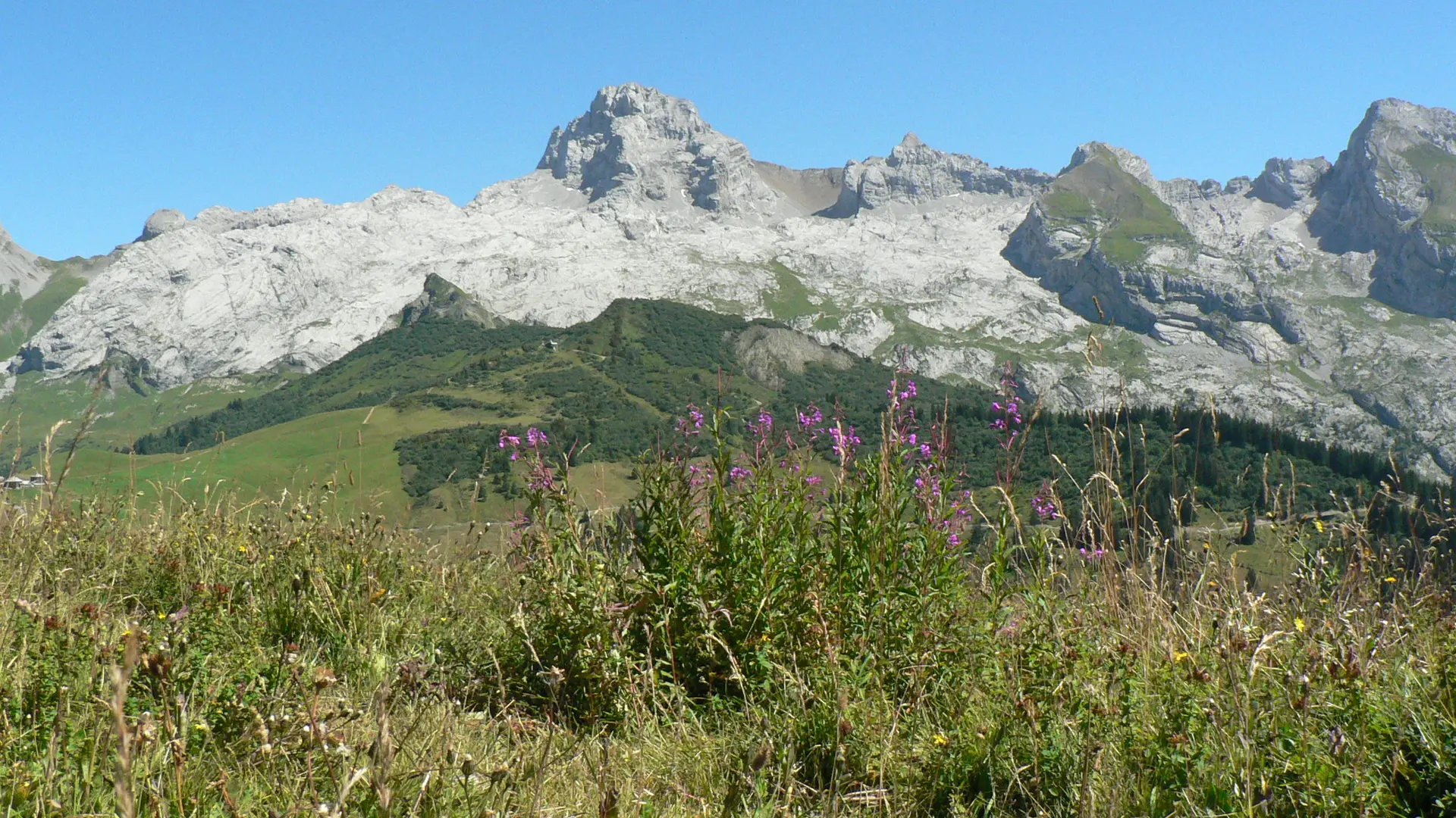 Le Grand-Tour du Grand-bo