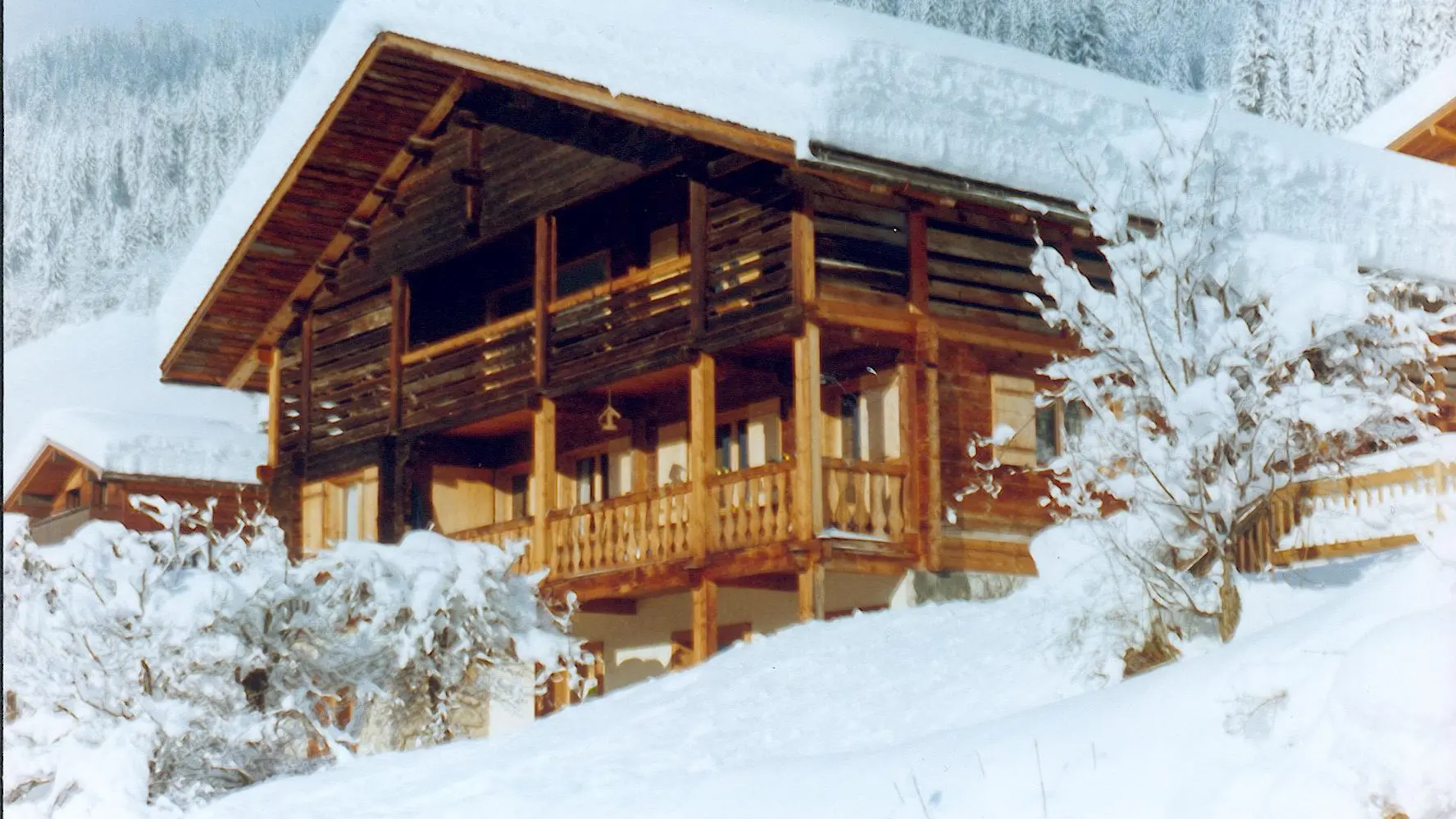 Extérieur chalet hoiver/Outside winter chalet-Buissière n°2-Le Grand-Bornand