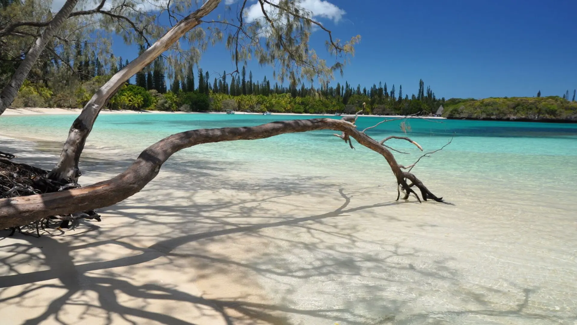 Plage de Kanuméra