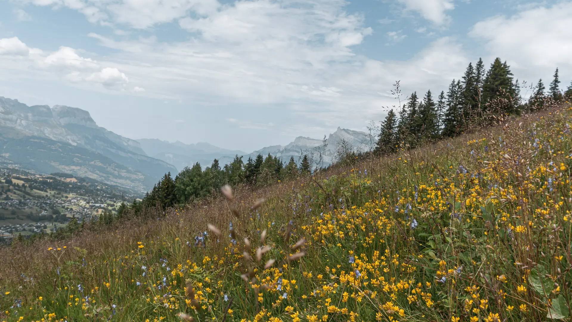 Vue en montée