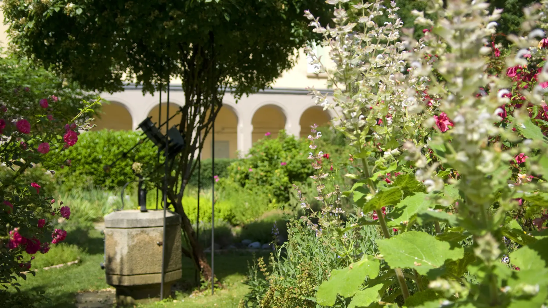 Jardin Botanique des Cordeliers