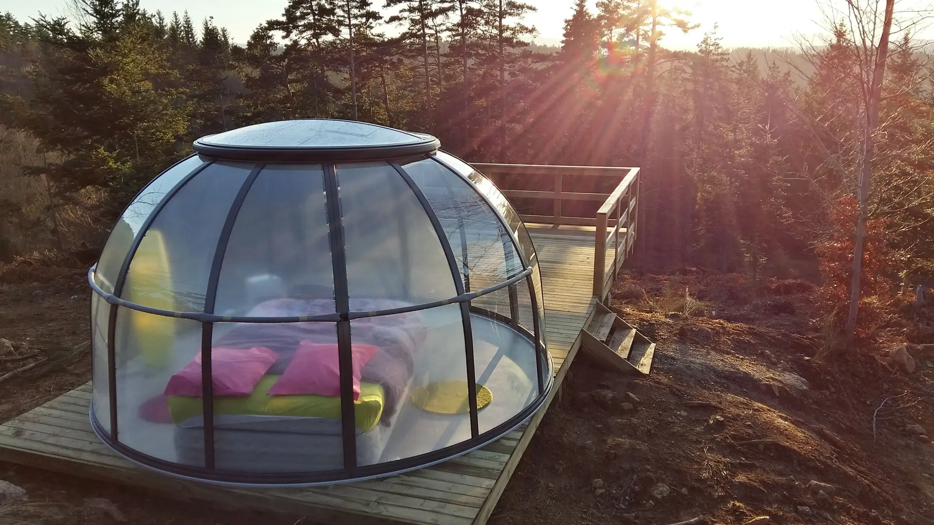 Dôme Etoile Vue imprenable sur la forêt et les montagnes