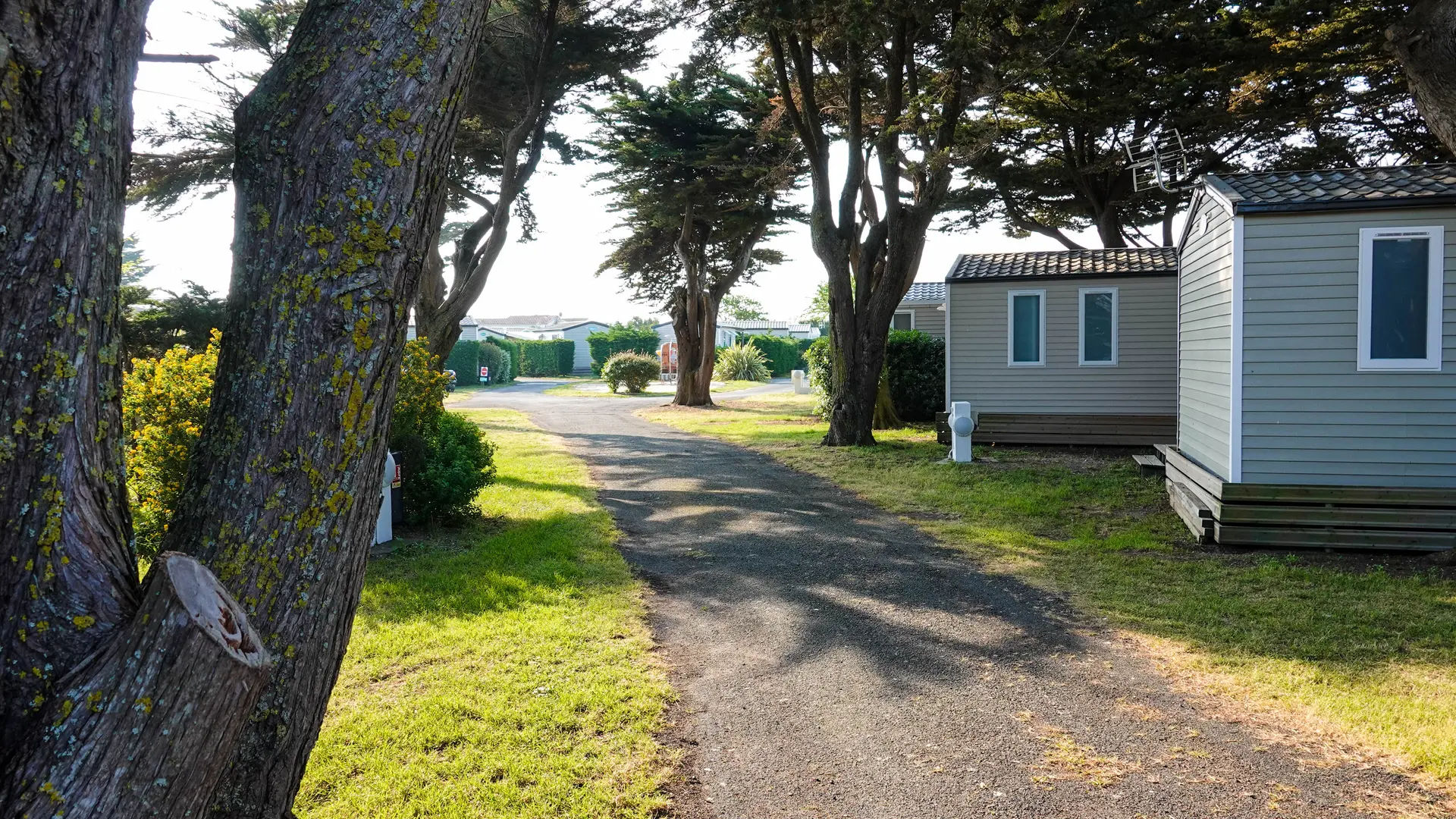 Allée du Camping les Pérouses du Phare