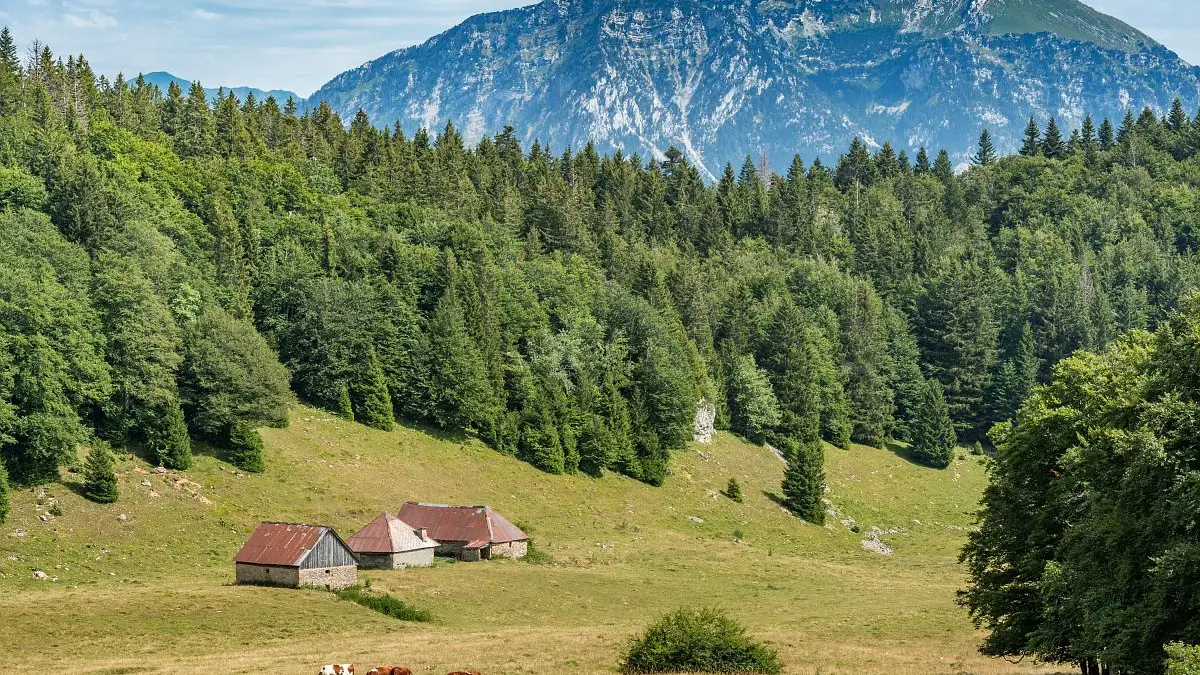 Les chalets Reguéras