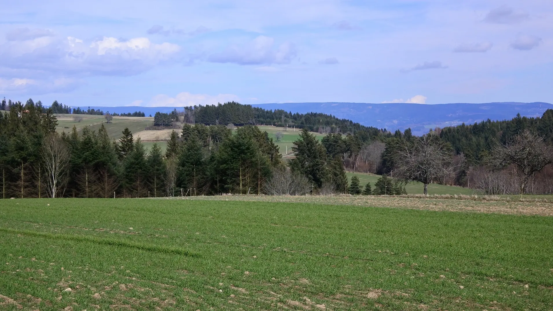 Vue