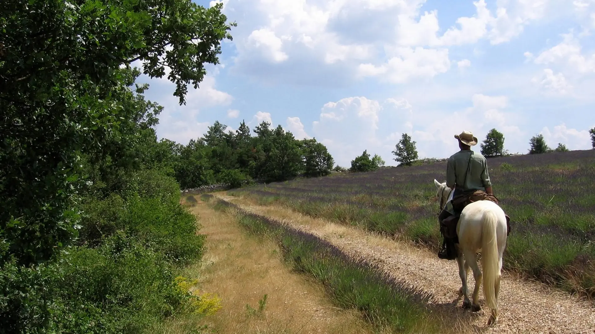 Plénitude, en bord de lavandins