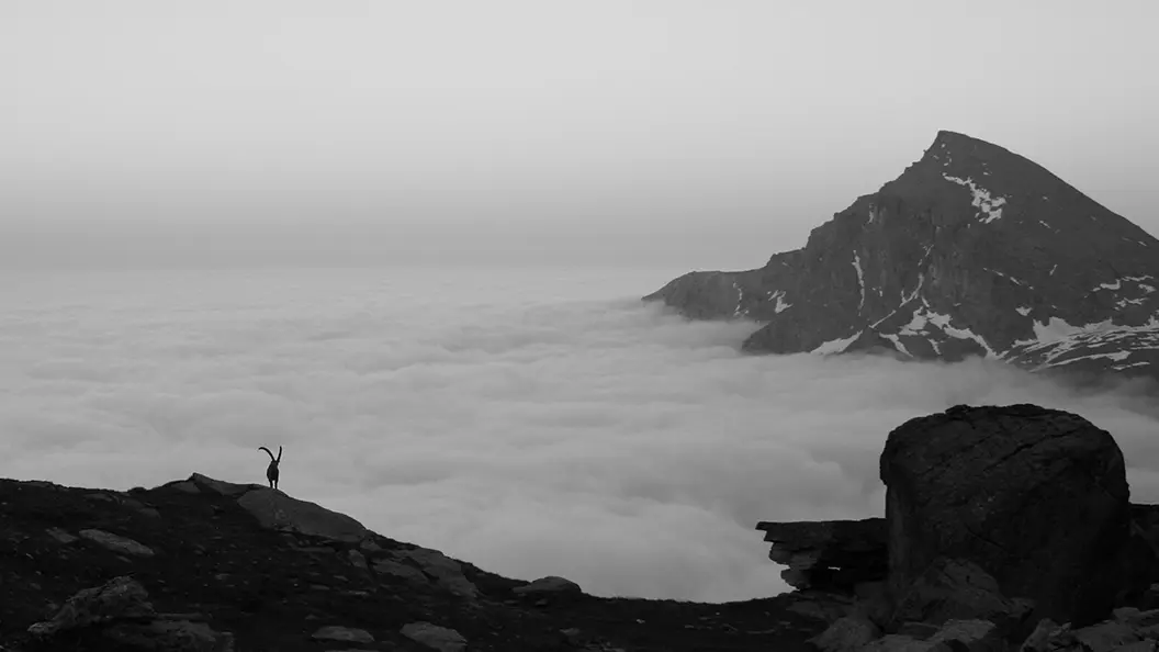 Reserve de biosphere du mont viso