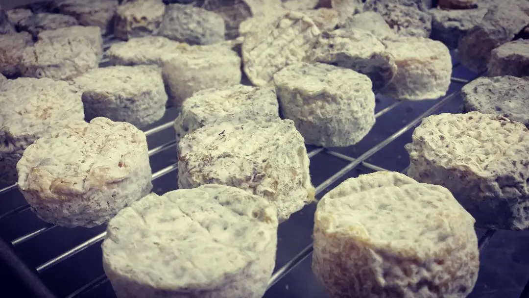 Fromages