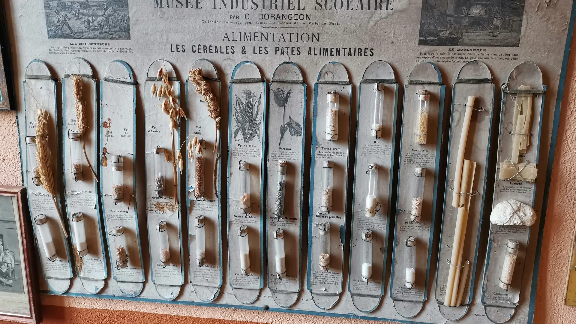 Leçon alimentation