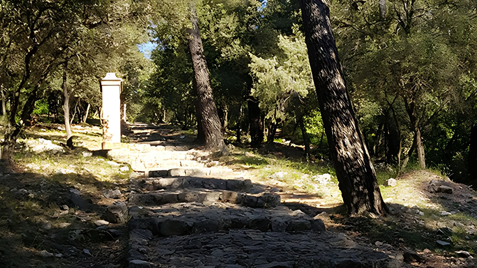 Montée en large marches en pierres au milieu d'une forêt méditerranéenne