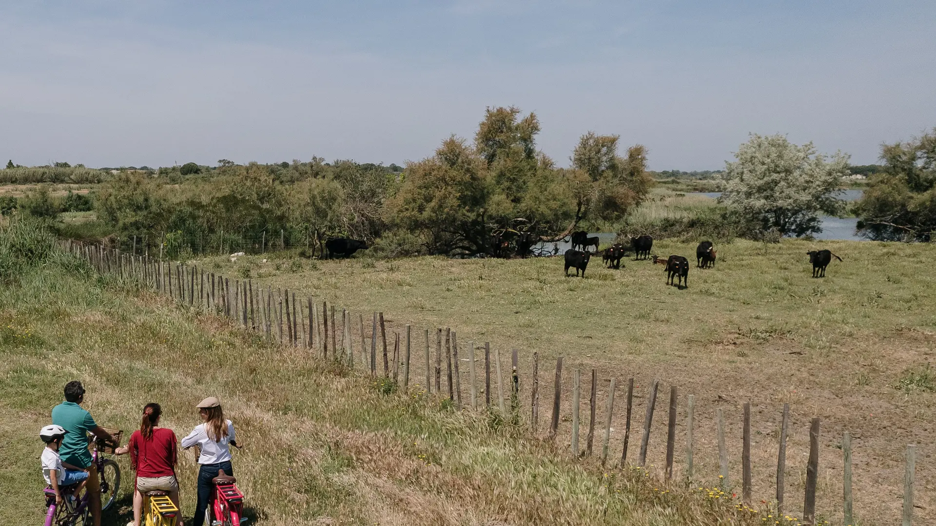 Camargue Autrement