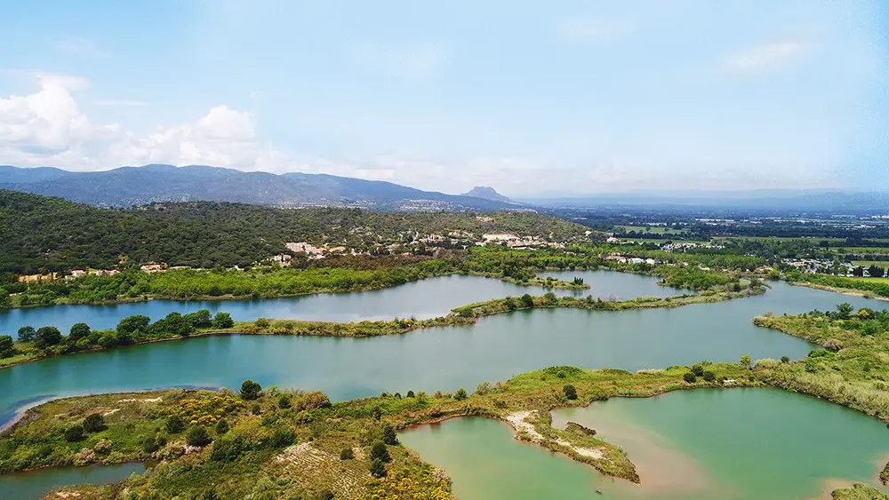 Etangs de Villepey, petite camargue du Var