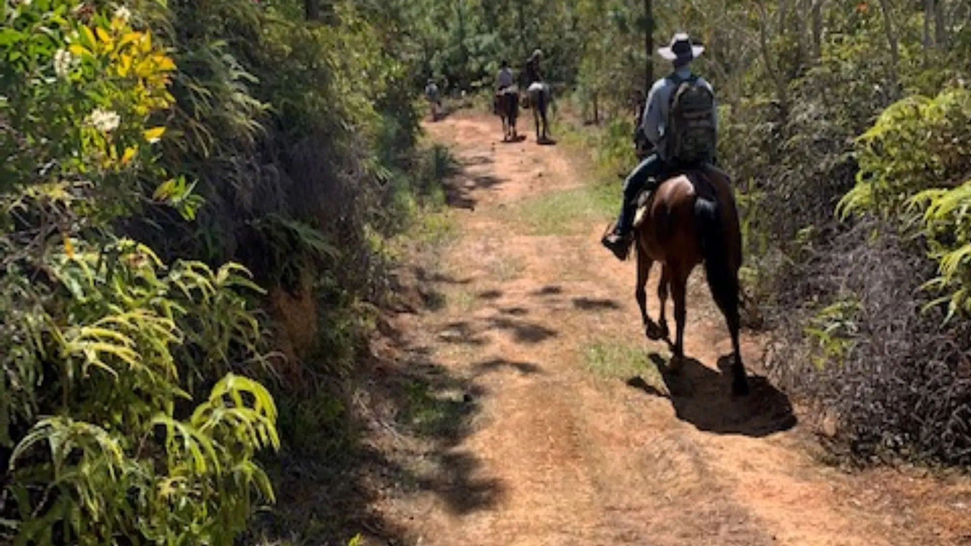 balade à cheval