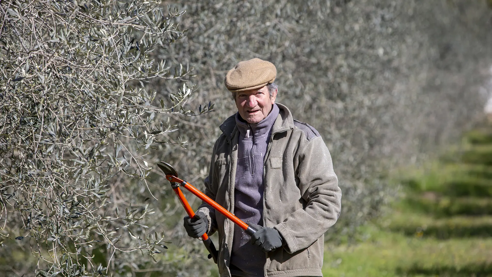 Huile d'olive Gimenez