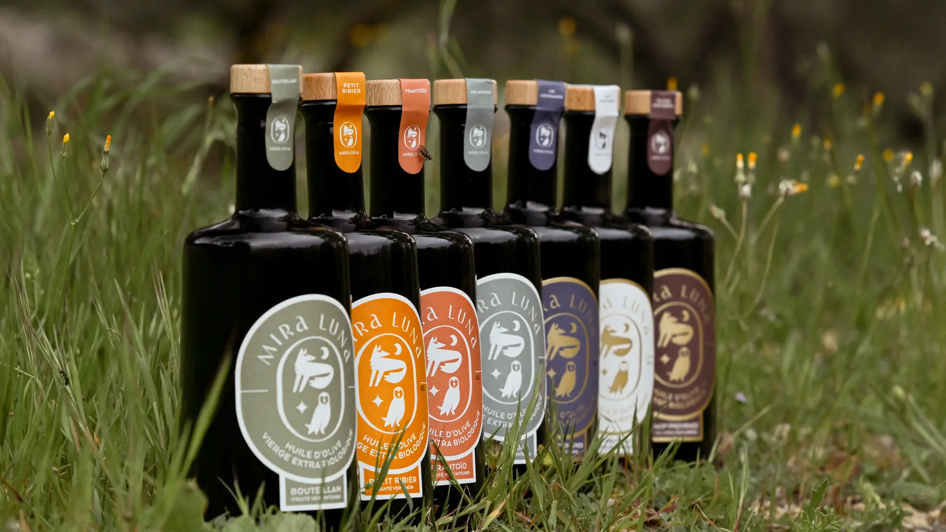 Huiles d'olive