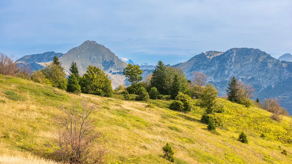 Plateau du Margériaz