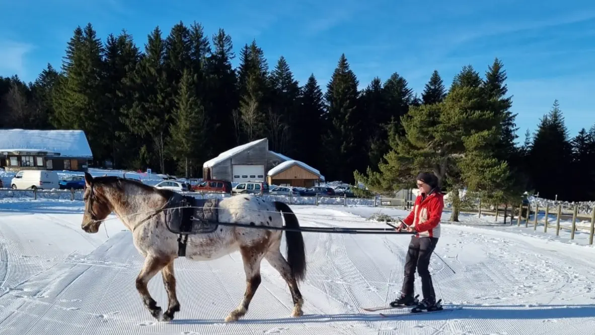 Ski joering