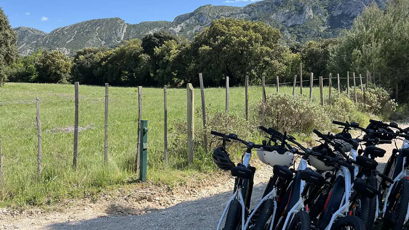 Terroir à vélo_Saint-Rémy-de-Provence