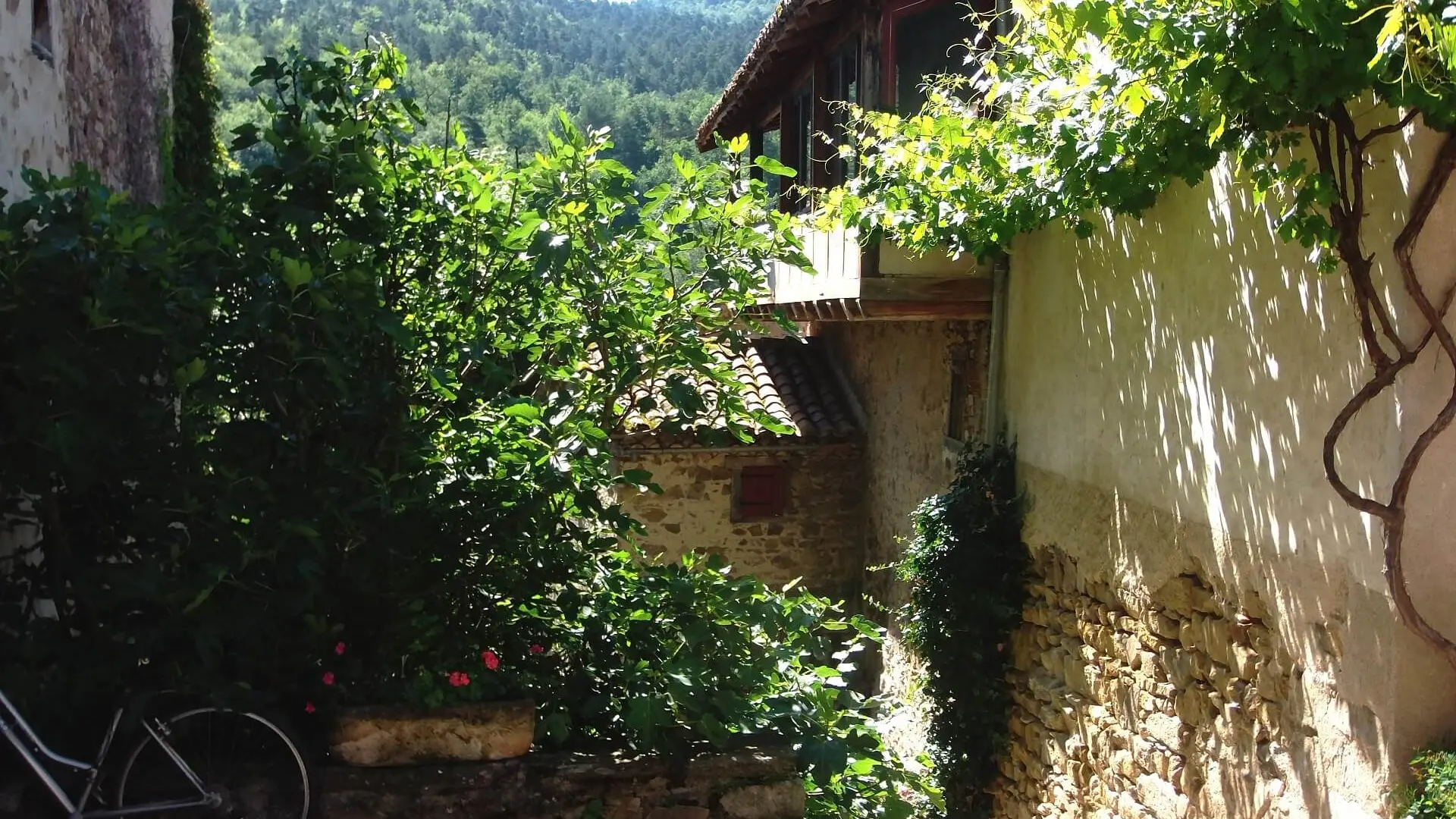 visite privée gourmande