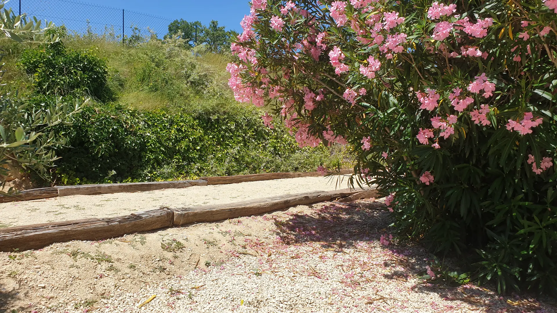 Meublé Les jasmins