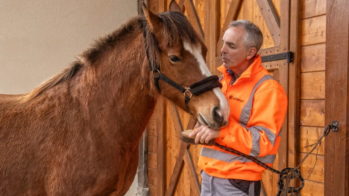 La mascotte : Loye - d'une gentillesse à faire fondre votre coeur